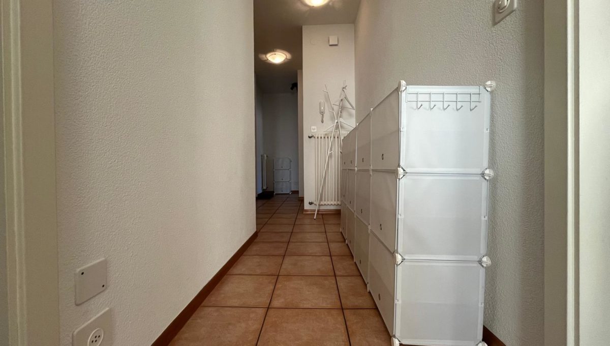 23ffb34b-bdc1-4374-83dd-08020ae01016