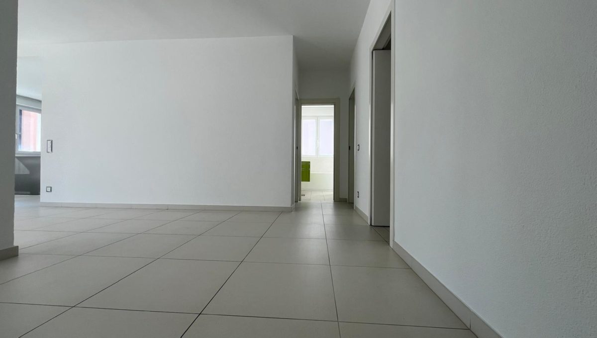 d7ede395-ae1b-453f-9477-0eca27f3913a