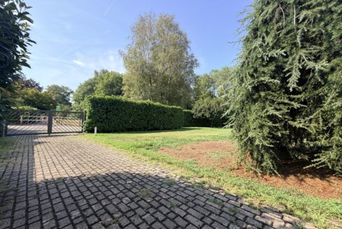 image00013