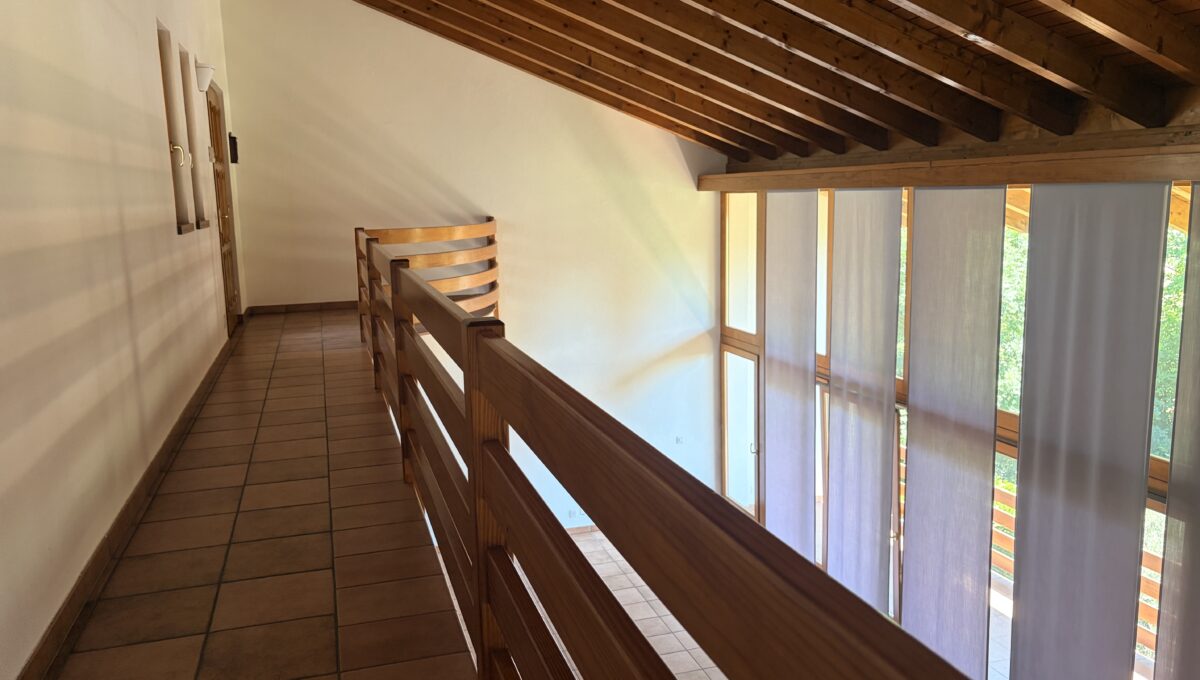 image00006